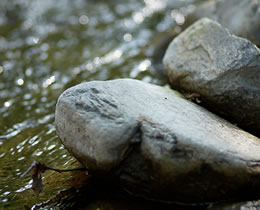 "STEINE IM WASSER" - IMAGE ONE | Meine Philosophie...