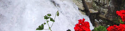 "Wasser ist Leben; - styria4all | Reinigung...