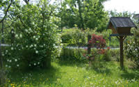 Garten I
