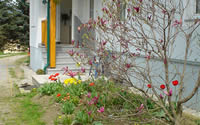 Garten I