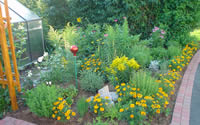 Garten I