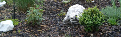 Garten II