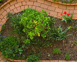 Gartengestaltung mit Feng Shui