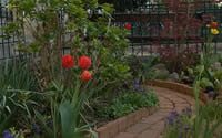 Garten III