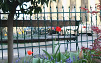 Garten III