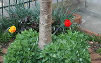 Garten III