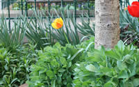 Garten III